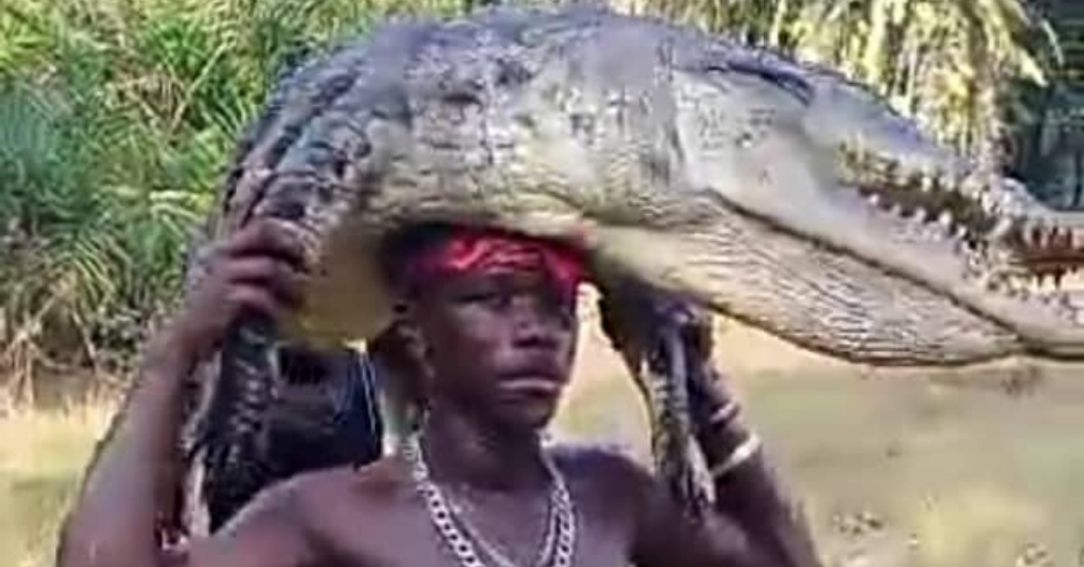 Mysterious Giant Crocodile Killed at Limbo Village