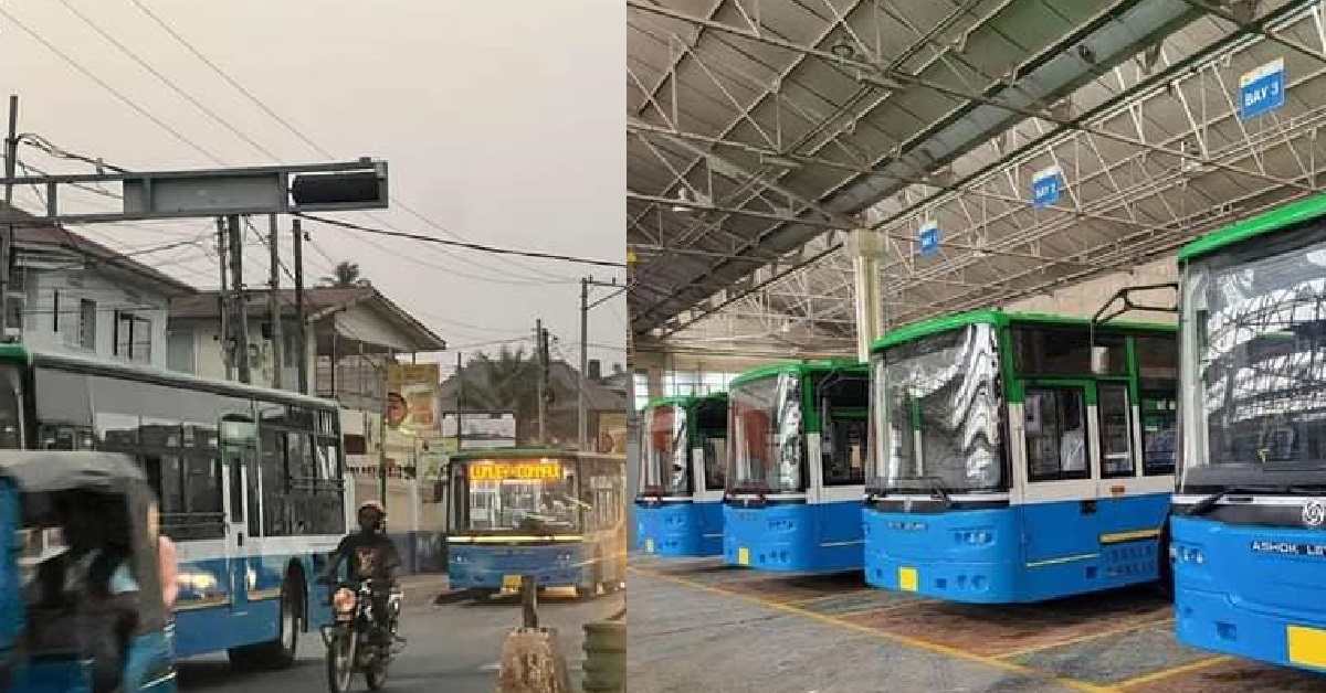 Passengers Stranded at Lumley Park as Poda Poda Drivers Strike Over Wilkinson Road Access