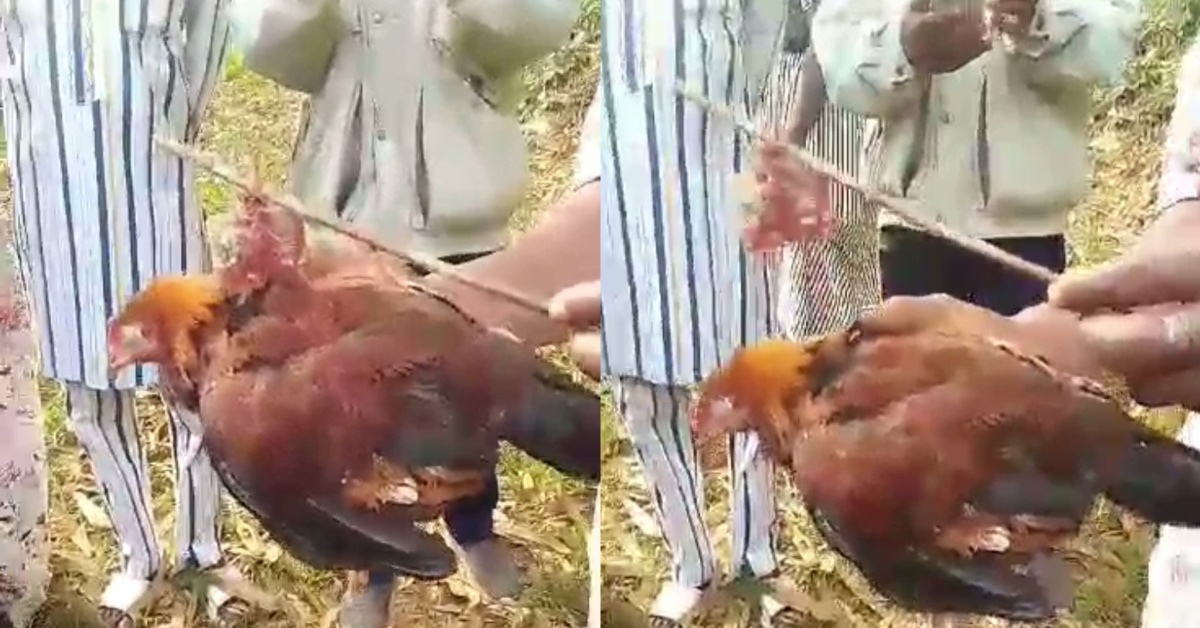 Mysterious Charm Found at Yonni Cemetery in Pujehun