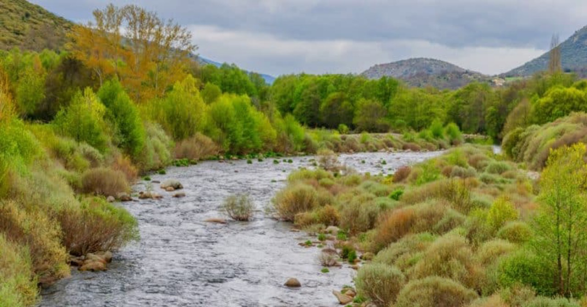 Government of Sierra Leone Launches $2 Million Water Fund to Address Freetown’s Water Challenges