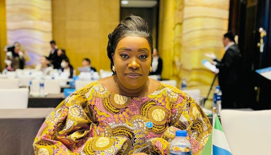 NRA Boss Adama Gento-Kamara Champions International Tax Cooperation at UN Meeting