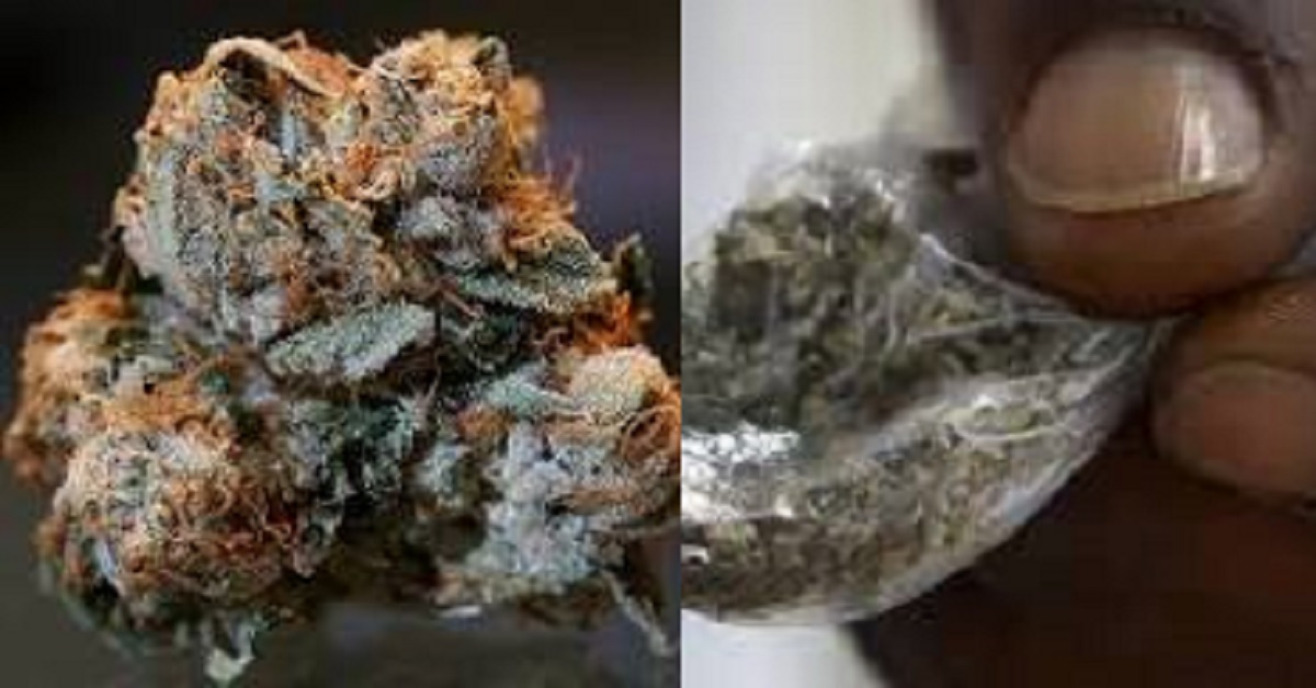 Sierra Leone: Petition to Ban Import of Kush Reach Over 3,000 Signatures