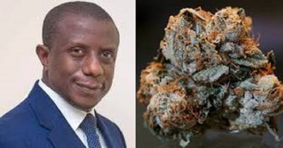 Deputy Mines Minister Urges Collaborative Action to Combat Growing Kush Crisis