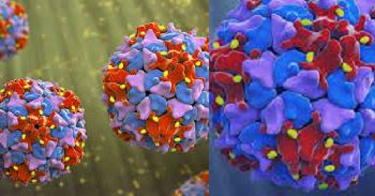 Sierra Leone’s Health Authorities Confirm a Case of Poliovirus (PV3) in The Country