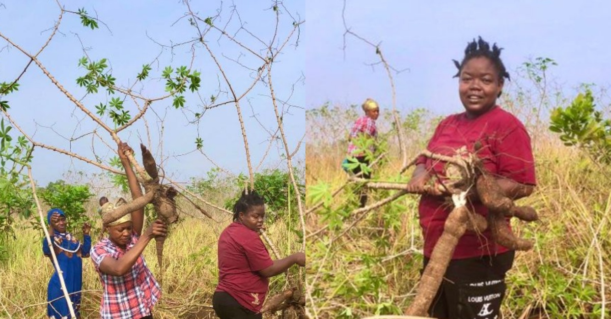 Sierra Leonean Returnee Creates 200 Job Opportunities for Hometown Residents