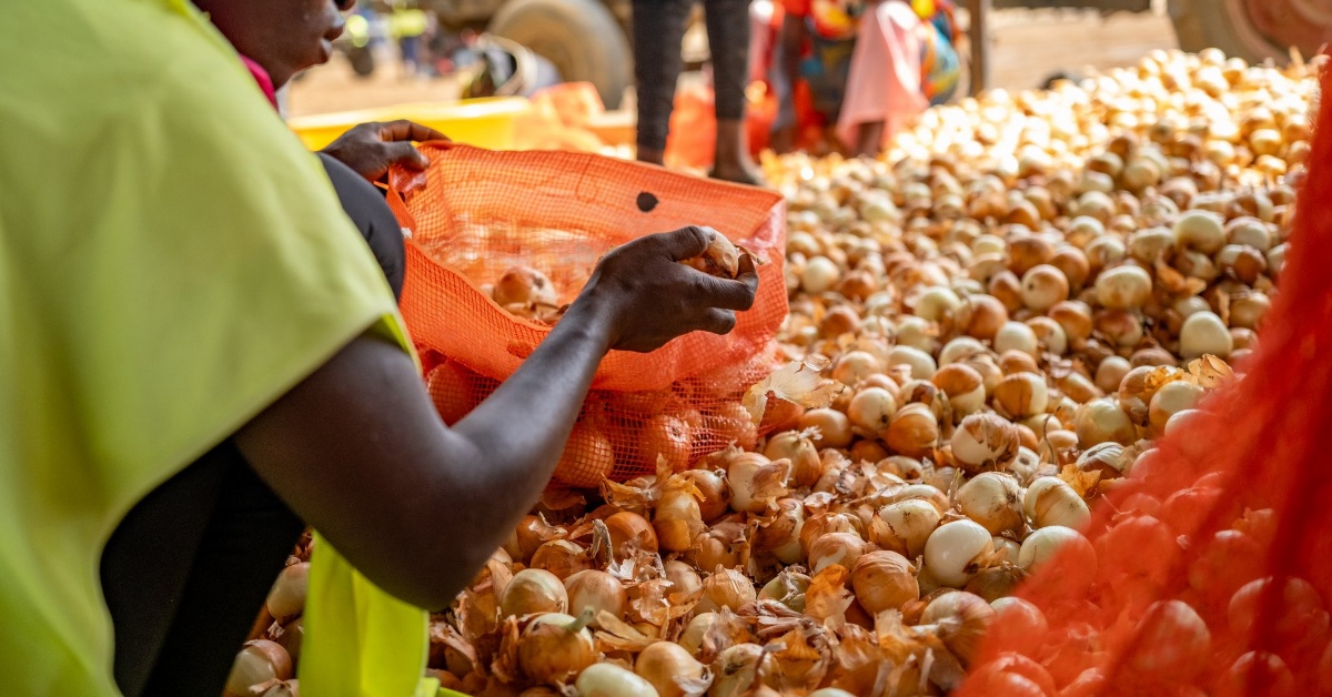 Sierra Leone Aims to Reduce Onion Importation by The End of 2024