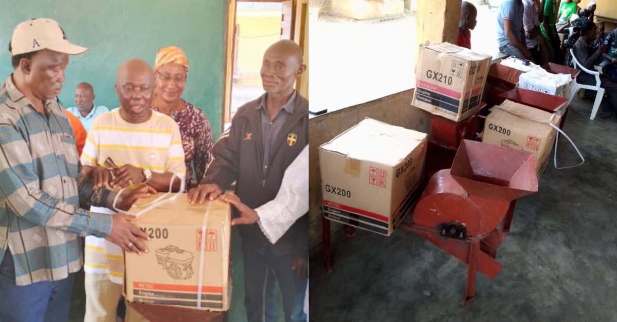 MP Alex Mattia Rogers Empower Women Farmers With Cassava Processing Machines