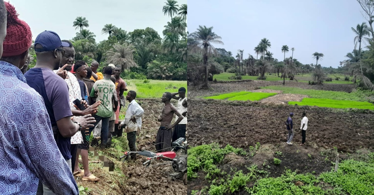 Chief Minister David Sengeh And Team Visits Farm Sites in Pujehun