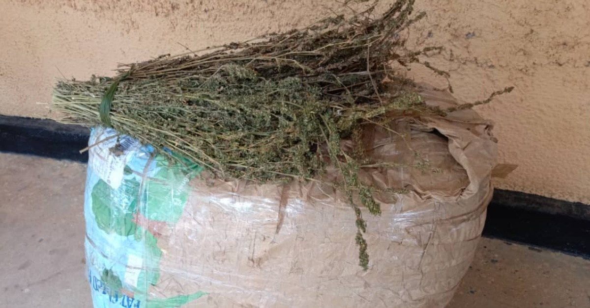 Regional Police Operations Team Seize Large Cannabis-Sativa Haul in Bo City