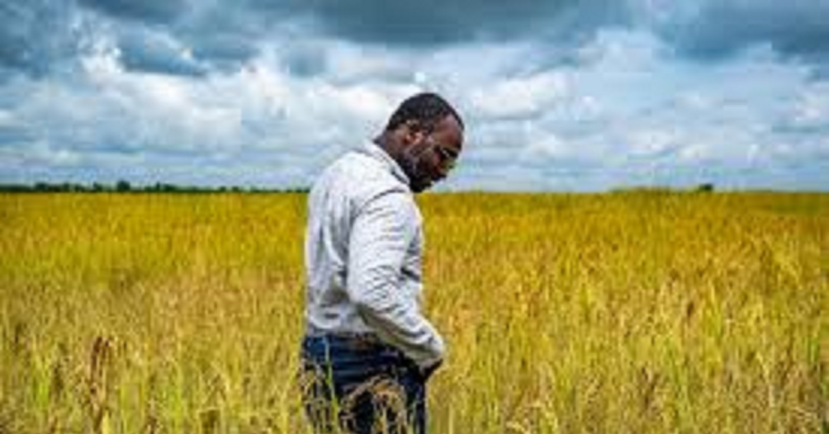 Ministry of Agriculture to Hire 1000 Field-Level Staff in 2024 And 2025