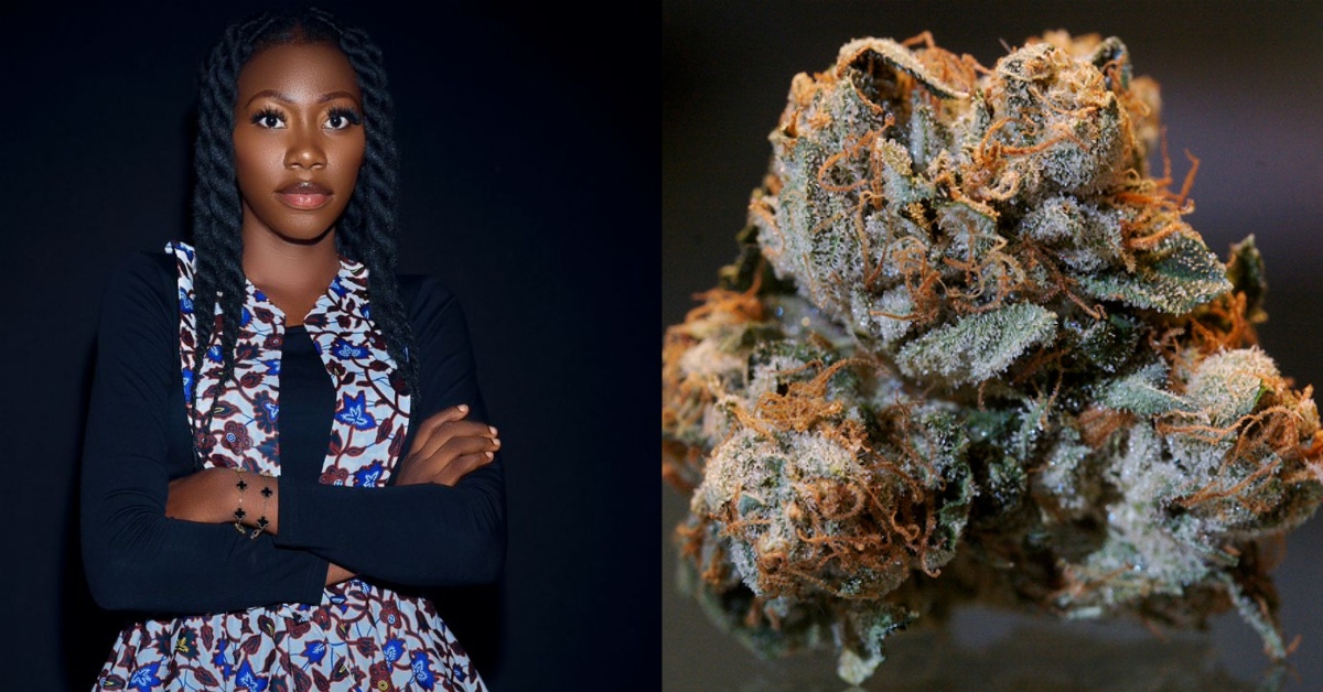 Kush: A Study Worth Exploring