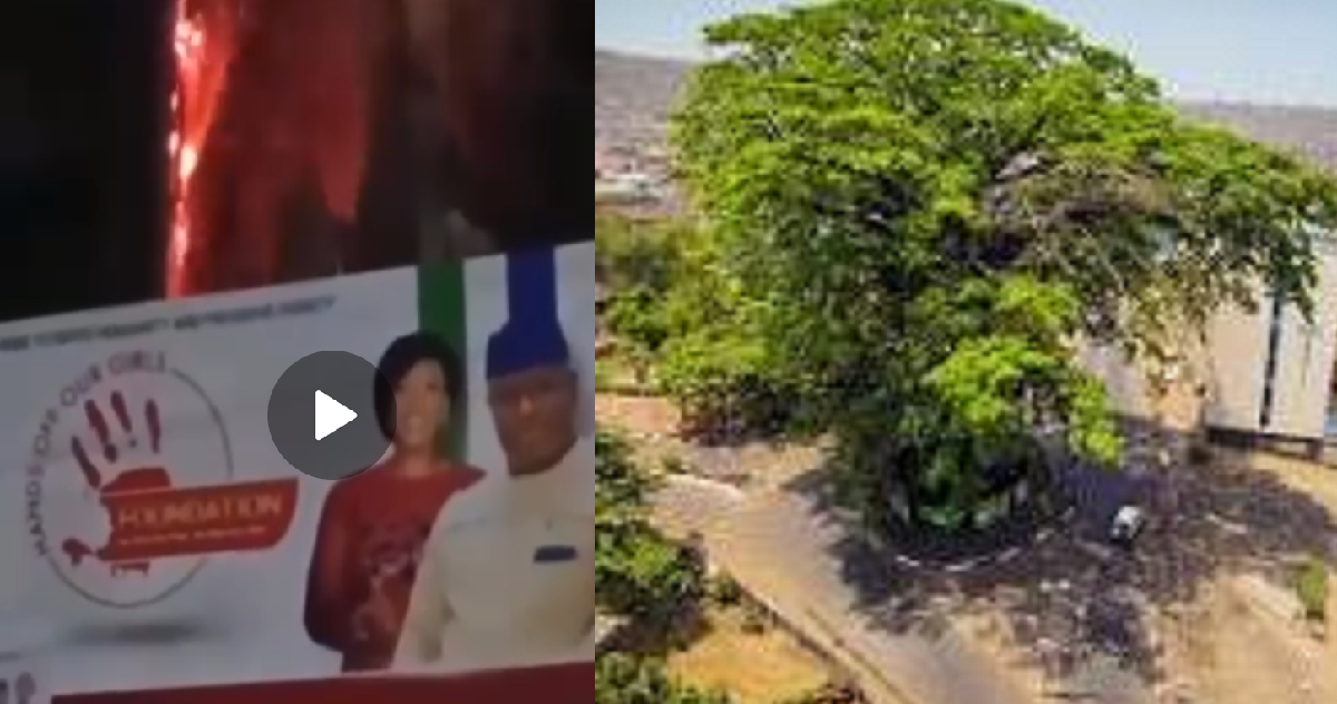 Sierra Leone’s Iconic Cotton Tree Engulfed in Flames