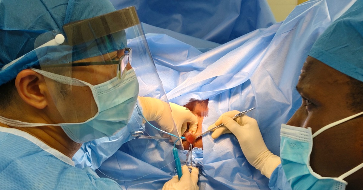 Chinese Medical Team in Sierra Leone Performs Landmark Complex Anal Fistula Surgery