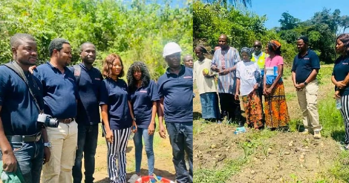 RESOLVE and Kono District Council Partner for Successful Onion Harvest in Yigbeda Community