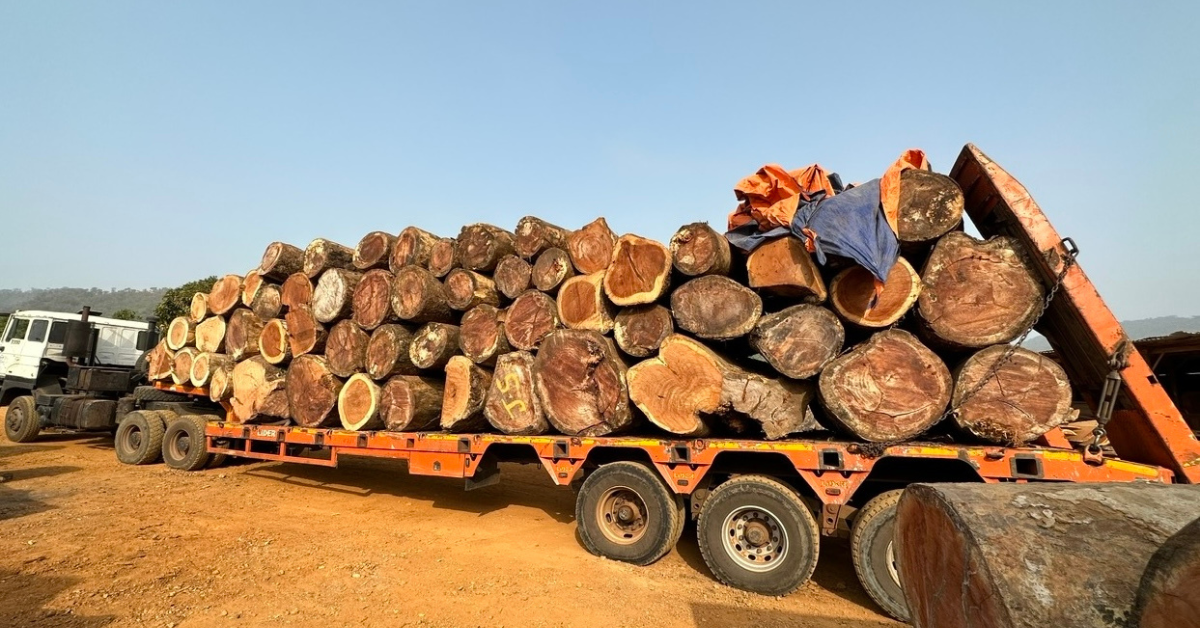 Timber Association Members Plan Protest Against Bio’s Government