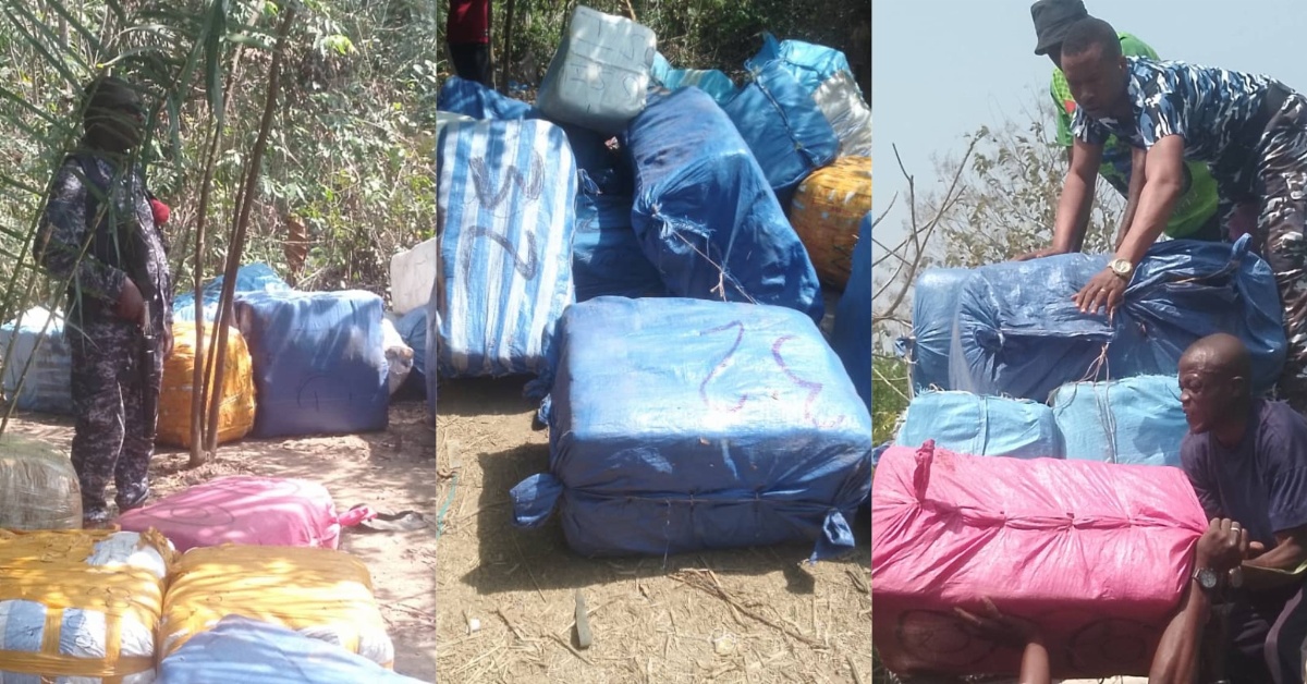 Police Intercept 20 Bales of Suspected Cannabis Sativa in Kambia District