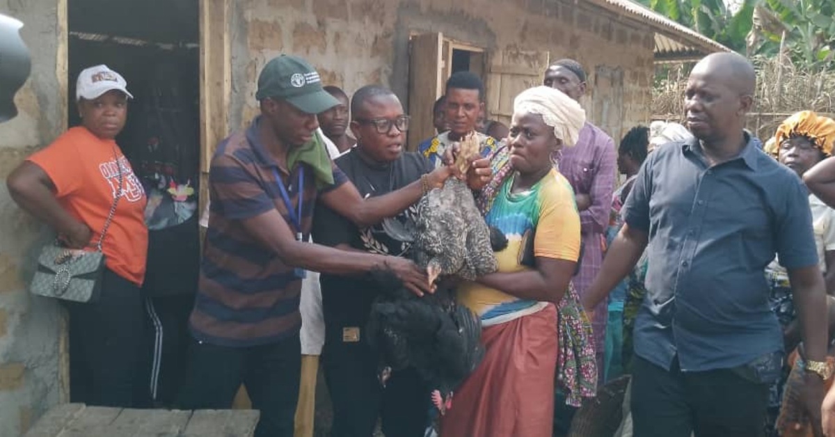 Government and FAO Distribute Livestock to Farmers in Pujehun District