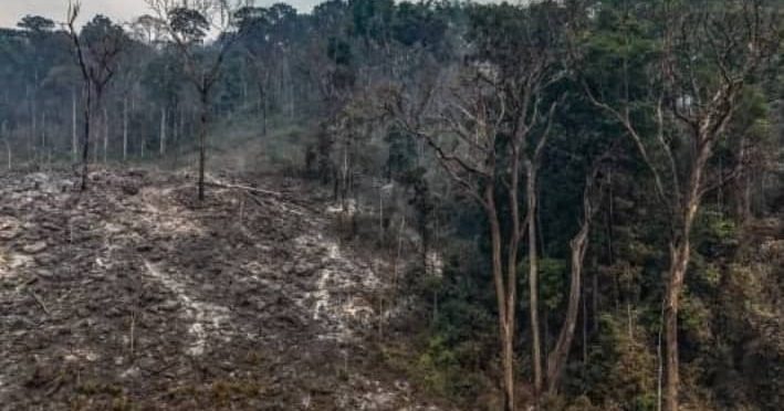 Land Grabbers Challenge President Bio’s Commitment to Protect the National Park