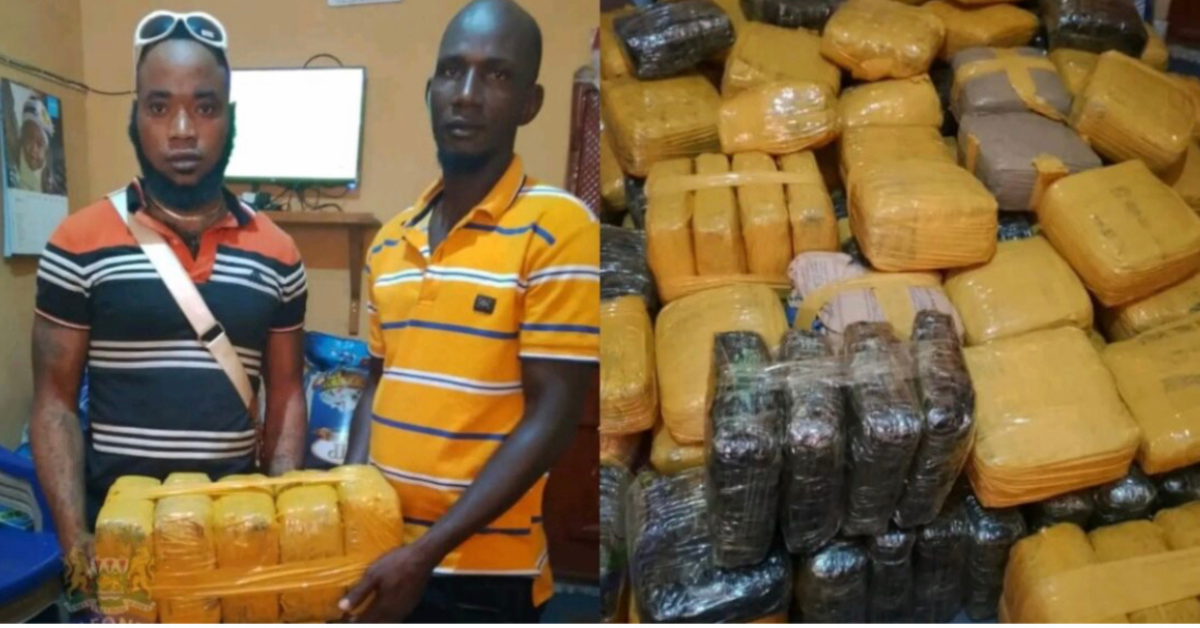 Police Intercepts Vehicle Carrying Large Quantity of Illegal Drugs in Makeni
