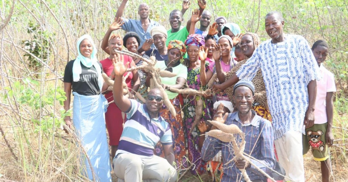 Women Farmers in Koinadugu District Benefit from Cassava Value Chain Project