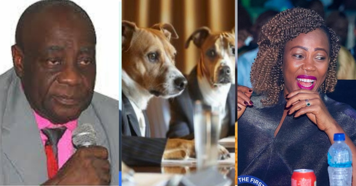 IB Kargbo Defends First Lady, Calls ‘Dogs’ Remark Regrettable