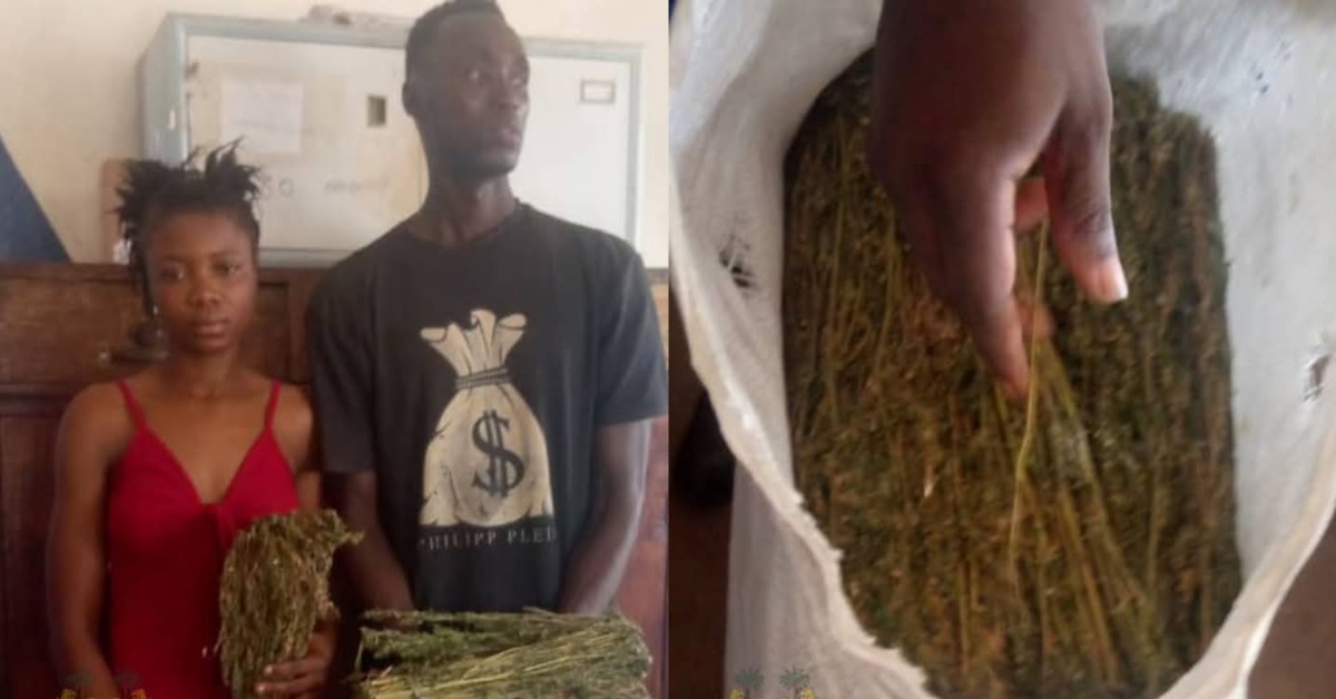 Police Arrest Two in Magburaka with Large Cache of Cannabis Sativa
