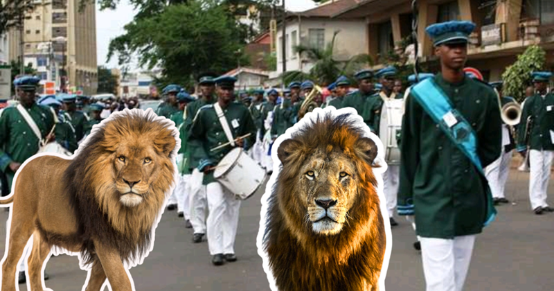 Police Rejects Prince of Wales School Alumni’s Request to Parade Live Lion at Centenary Celebration