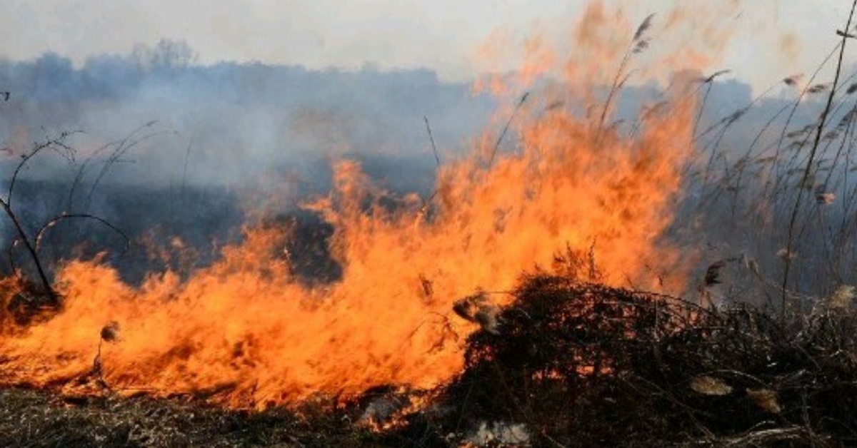 Wildfire Destroys Crops in Battiland, Leaving Hundreds of Farmers Devastated