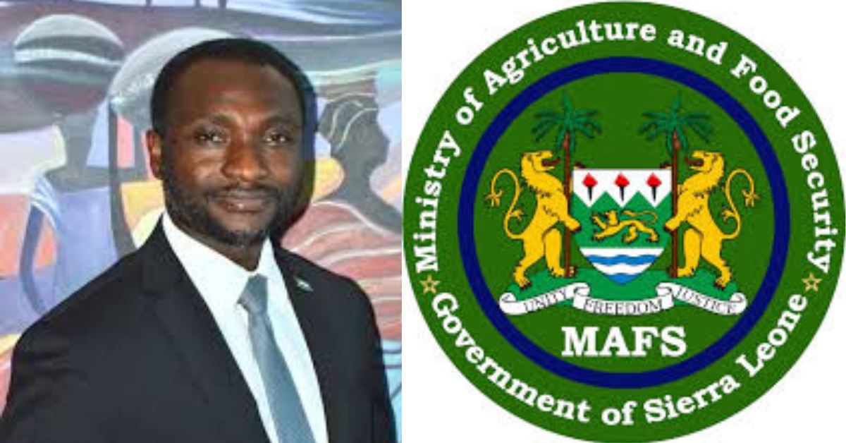 Sierra Leone Launches First-Ever Weather-Based Insurance Scheme for Farmers