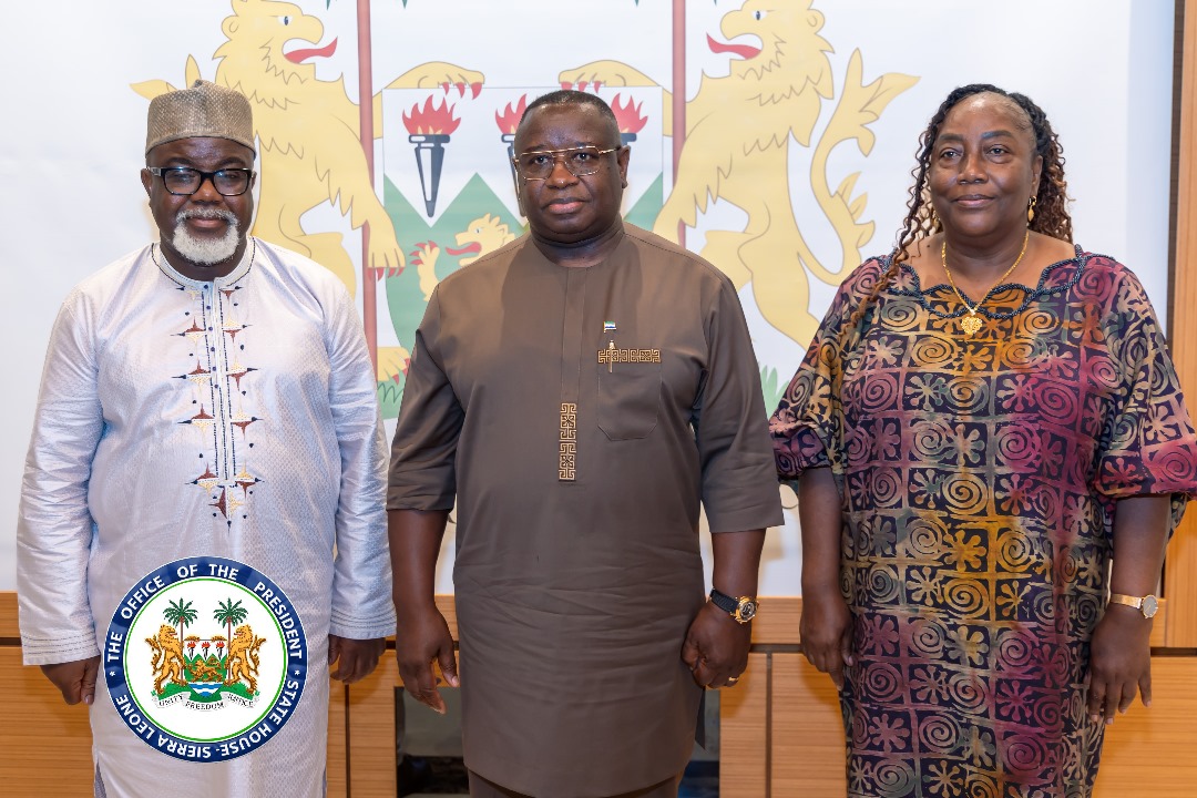 New Sierra Leone Ambassadors to US, Belgium And French Republic Bid Farewell to President Bio 