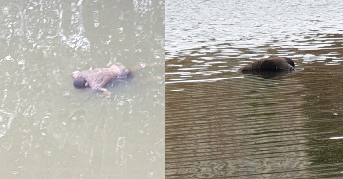 Dead Body Found Floating in River Near Jui Bridge
