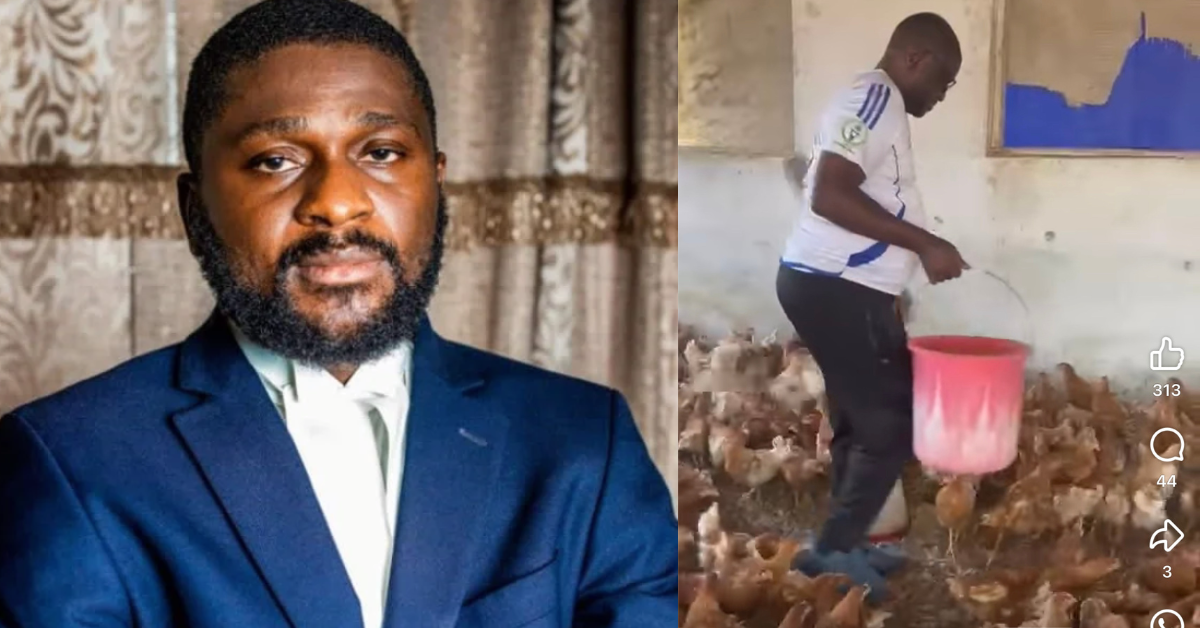 “Aside From Your Public Office, What Else Are You Doing?” – Dr. Saffa Abdulai Questions Politicians as He Shows Off Farm