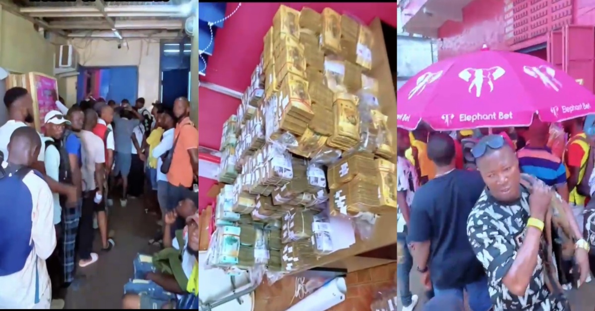 Elephant Bet Pays Over 31 Billion Old Leones to Lucky Winners in March
