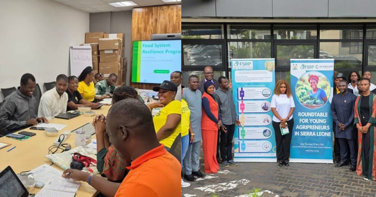 World Bank and Agriculture Ministry Host Roundtable with Agripreneurs Across Sierra Leone