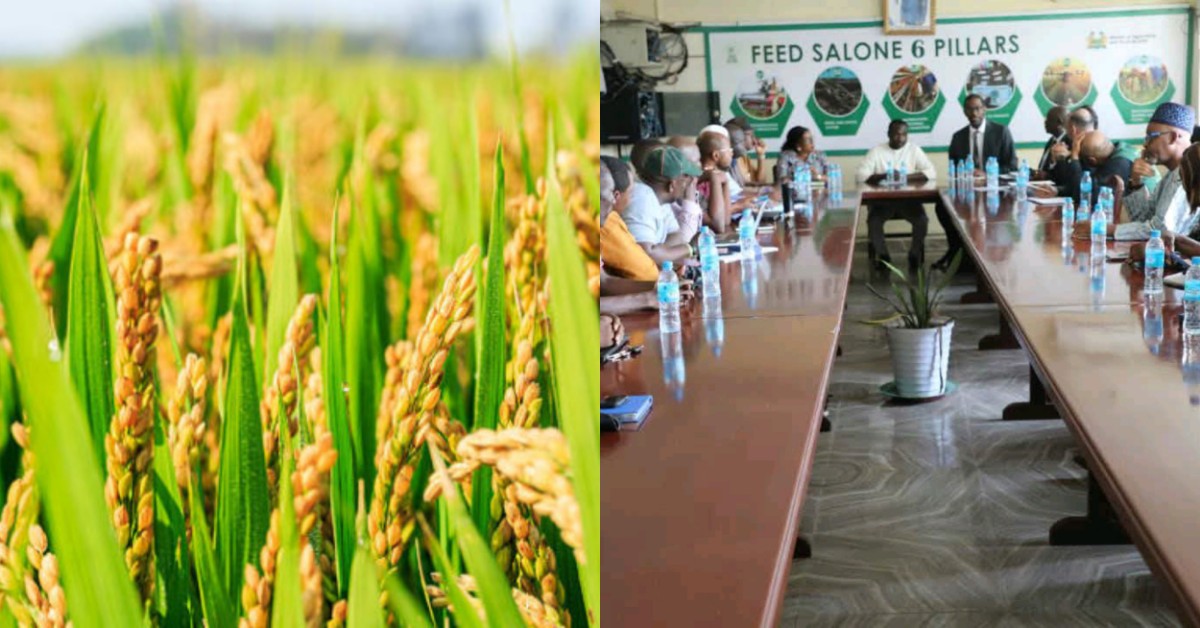 Islamic Development Bank to Inject Over $100 Million into Sierra Leone’s Agriculture Sector