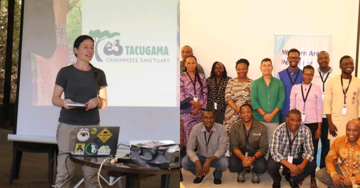 Water Fund Training Wraps Up in Freetown With Visit to Chimpanzee Sancutary