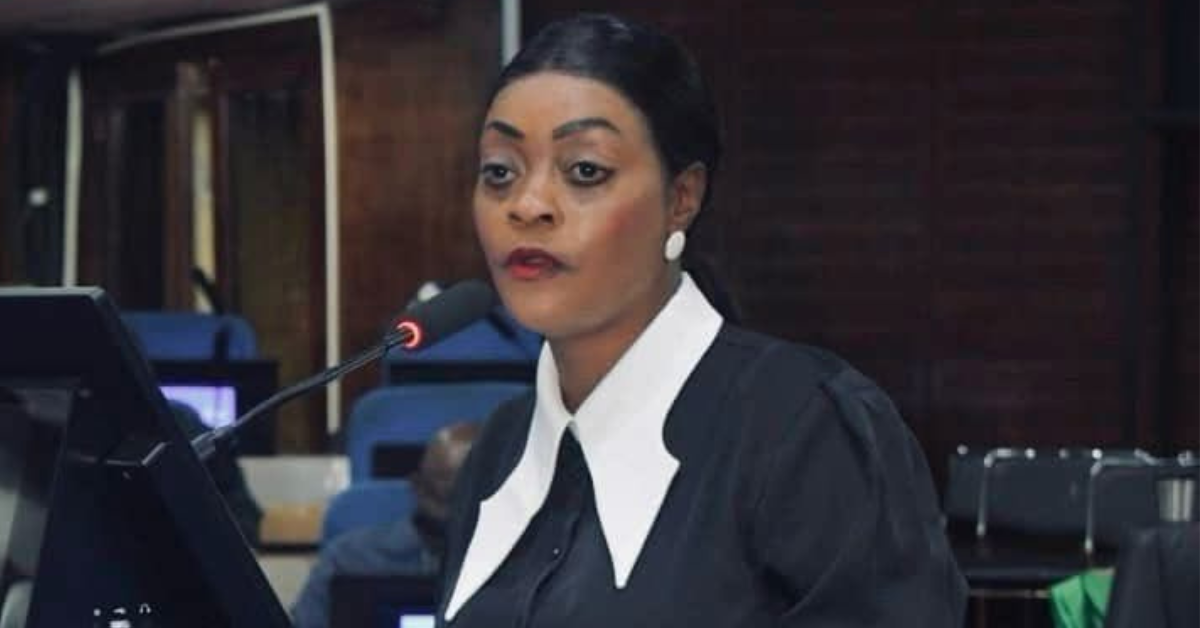 Deputy Justice Minister Presents New Intellectual Property Regulations to Parliament