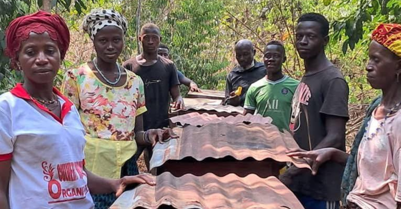 Women Take Lead in Beekeeping and Conservation Initiatives in Sanda Loko Chiefdom