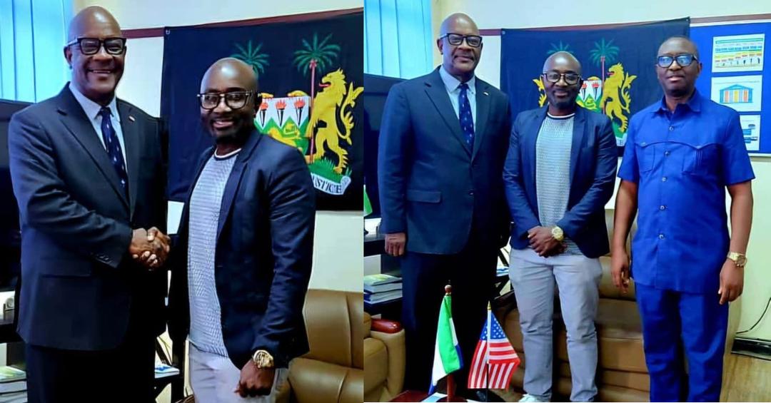 Government Seeks More Diaspora Support for Sierra Leone’s Health Sector