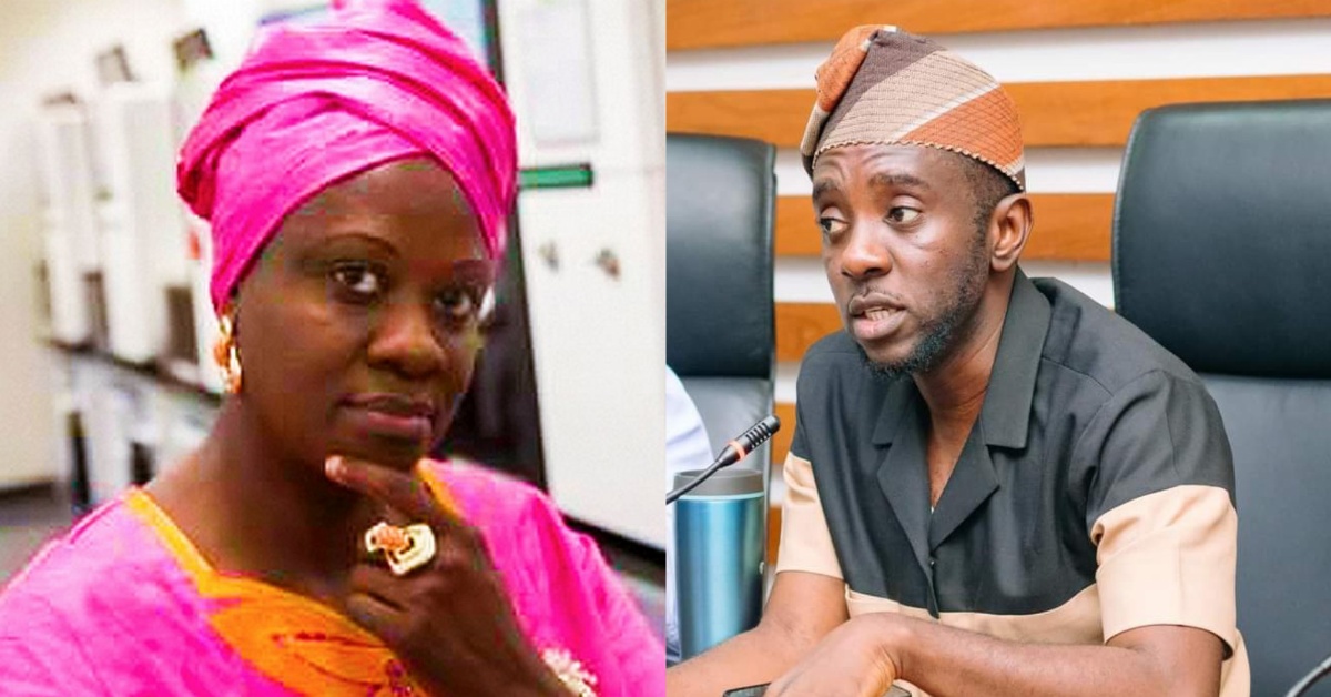 “Liars of This Lying Government”: Sylvia Blyden Blasts Information Ministry Over Yenga Statement