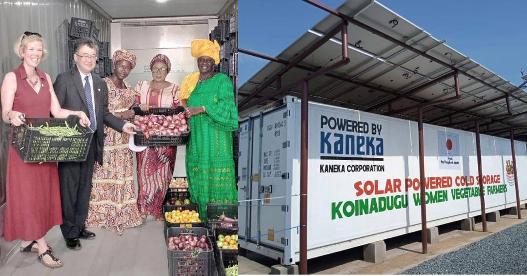 Deputy Agriculture Minister Hands Over Solar Cold Storage Facility to Koinadugu Farmers