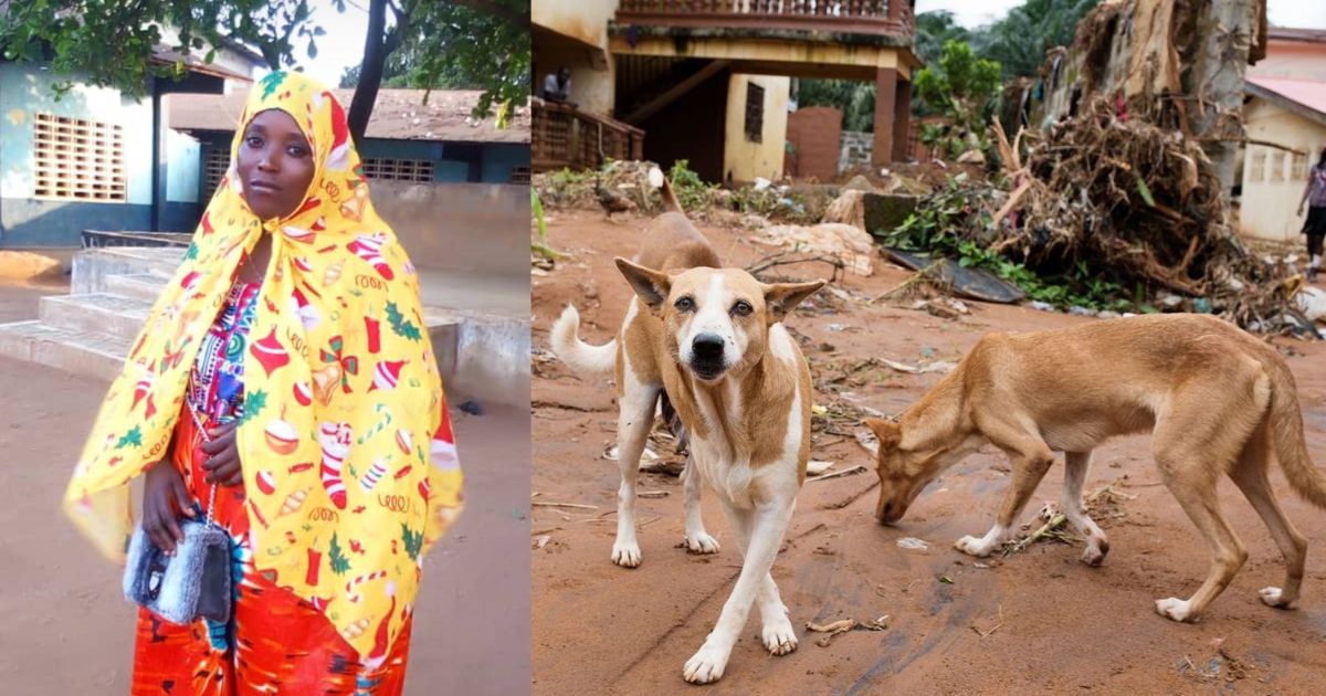 Dog Bite Leaves Sierra Leonean Woman in Critical Condition