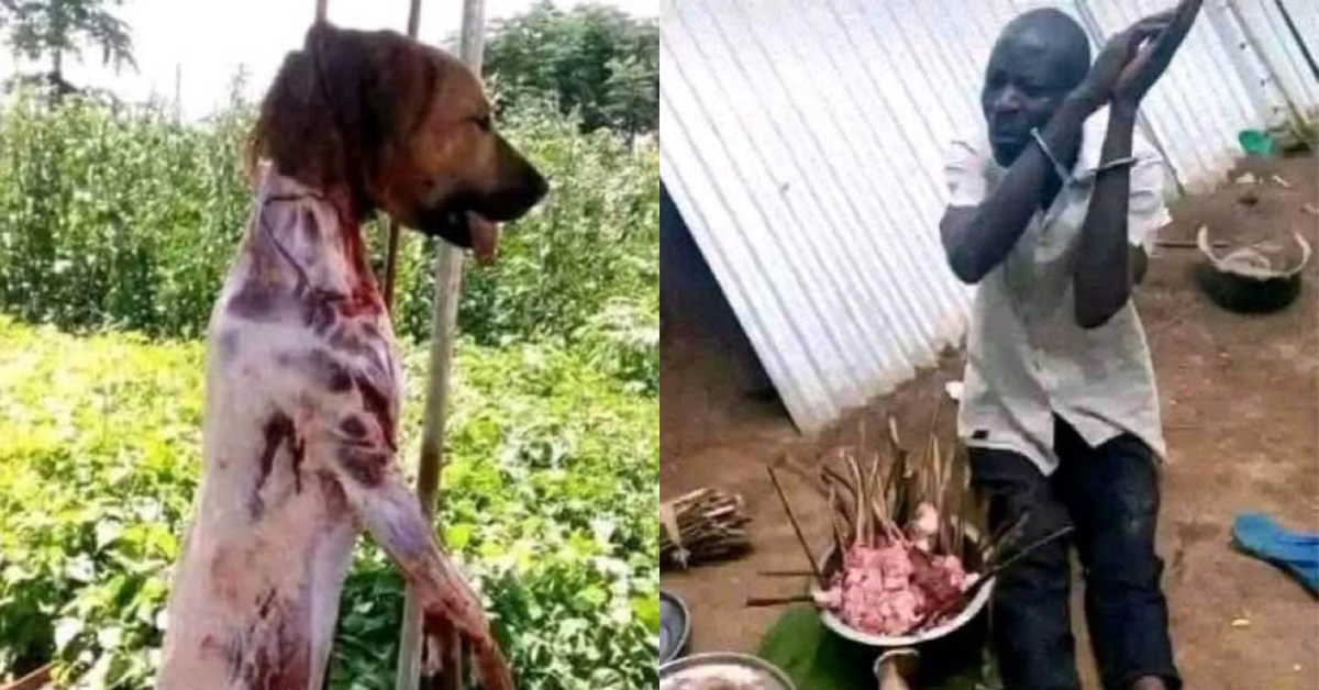 Man Caught Preparing Dog Meat for Sale in Sierra Leone