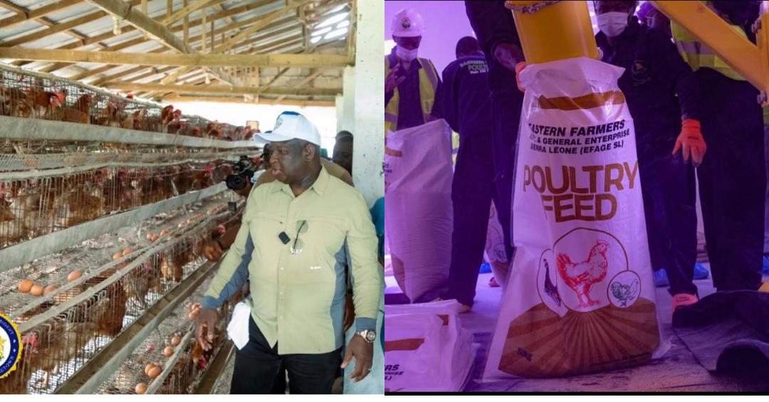 Government Launches Poultry Initiative to Enhance Child Nutrition