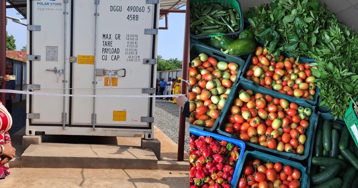 Solar-Powered Cold Storage Launched to Preserve Vegetable Produce of Women Farmers in Sierra Leone