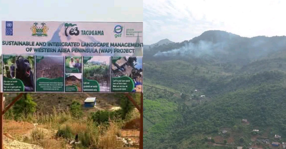 Sierra Leone Government Clarifies Demolition Exercise in Western Area National Park