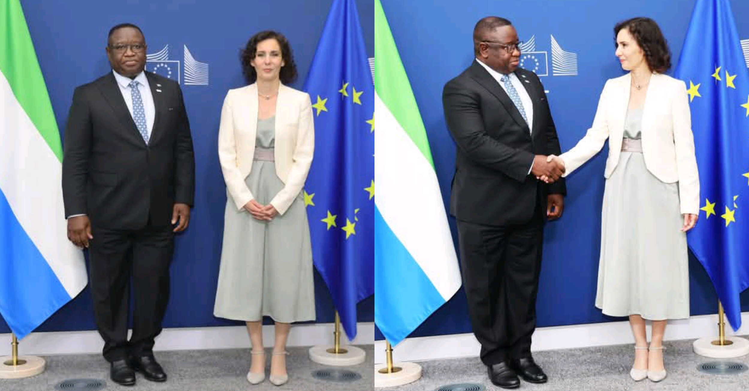 ECOWAS Chairman President Bio Meets EU Commissioner Over Sahel Issues