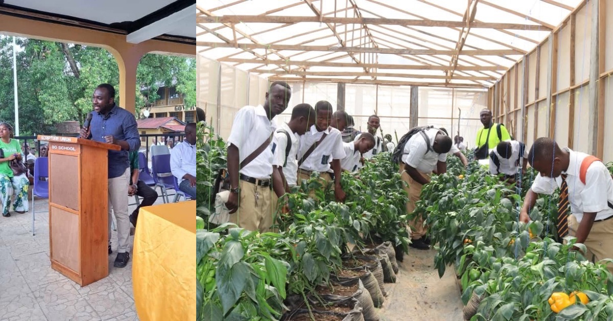 Government and World Bank Hand Over Locally-produced Rice to Bo School