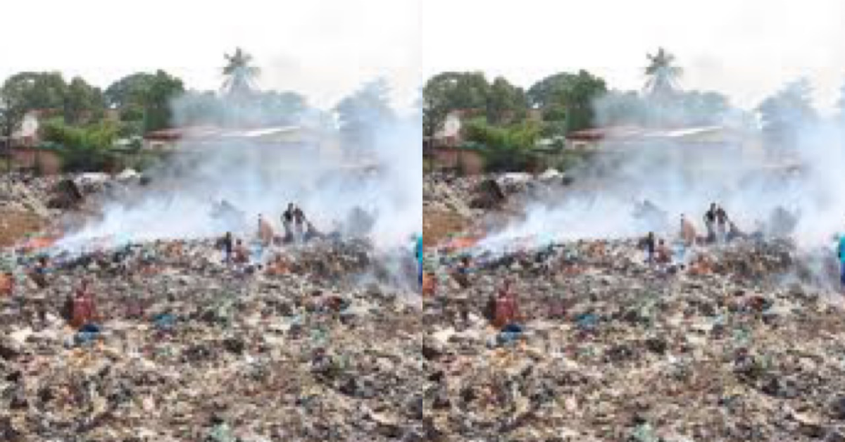 Bormeh: Aki-Sawyerr Blames Government for Losing $20 Million Grant From World Bank