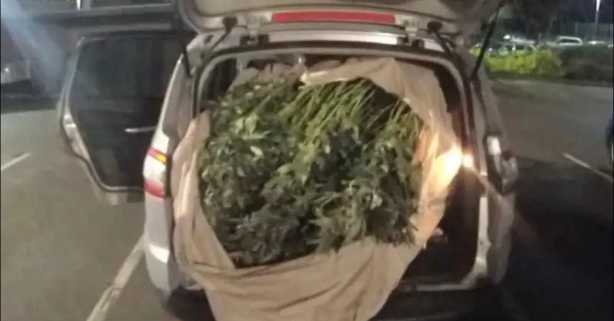 Police Arrest Shipment of 52 Bundles and 133 Parcels of “Jamba” in Bo